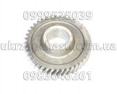 Шестерня 5-ой передачи ПАЗ пром. вала 41 зуб. 3206-1701185
